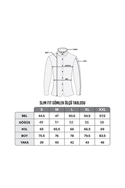 Artı1 Slim Fit Long Sleeve Easy-Iron Sweat-Absorbing Breathable Texture Four Seasons Men's Shirt