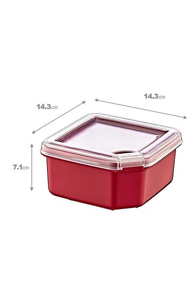 Smartware 4-Pack Q-Box Storage Container Carmen 1000 ml