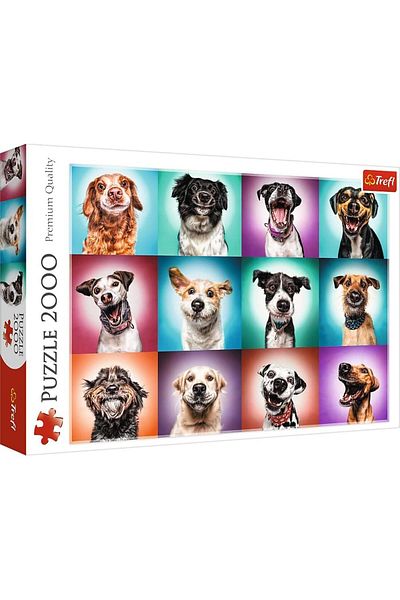 STOREMAX Ezg Tr27119 2000 Pieces, Superior Quality, for Adults and Children over 12 Years Old, Colorfuled Puzz