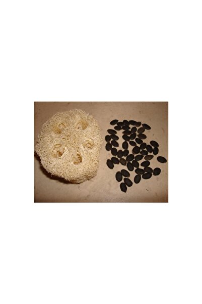 SWORTH PROFESSİONAL SOLİNGEN ŞEKİL KABAK LİFİ TOHUMU 100 ADET