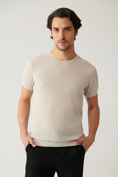 Avva Men's Stone Crew Neck Textured Cotton Knitwear T-Shirt E 005027