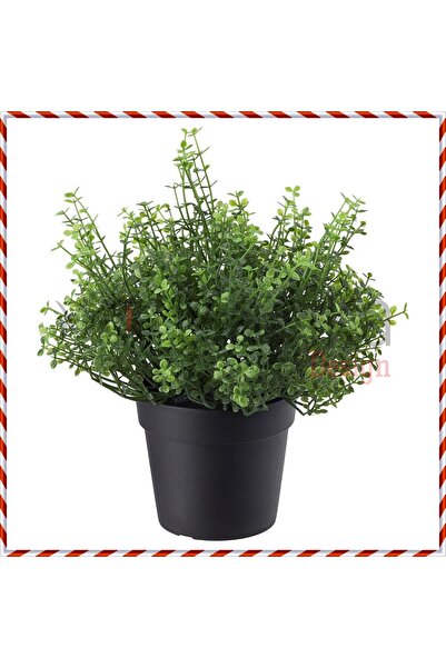 Magika Design MD Fejka Plantă Artificială, Verde, 9 cm, Floare de Trifog, Pen...