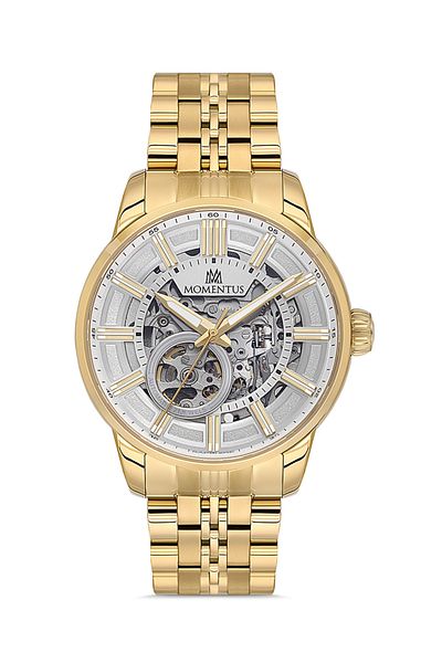 Momentus Tm380G-16Sg Men's Watch