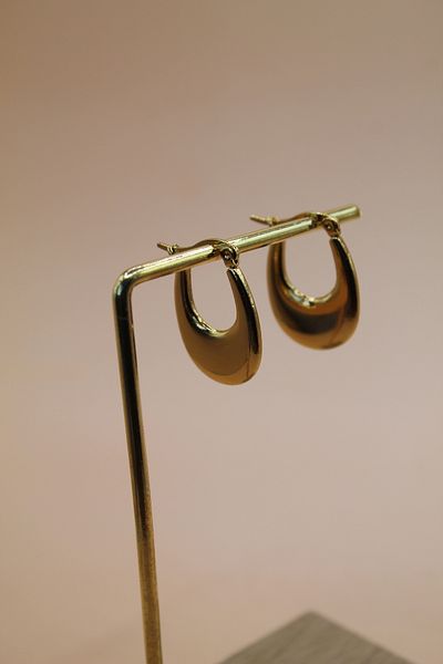 Luvix Design Steel Oval Form Gold Color Earrings