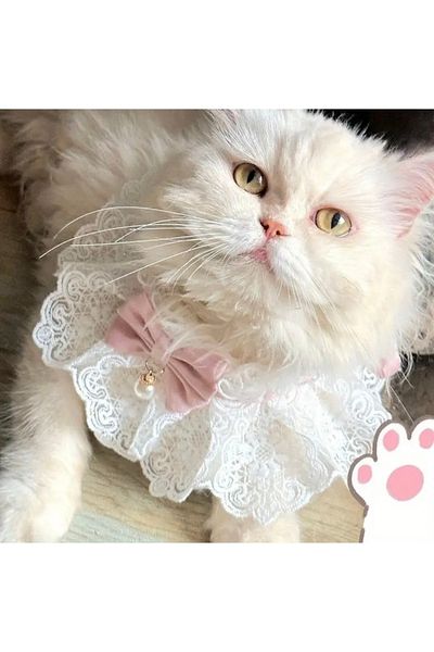 Animalovers Stylish Braided Cat Collar Adjustable Neck Jewelry with Bow Tie and Lace Bib