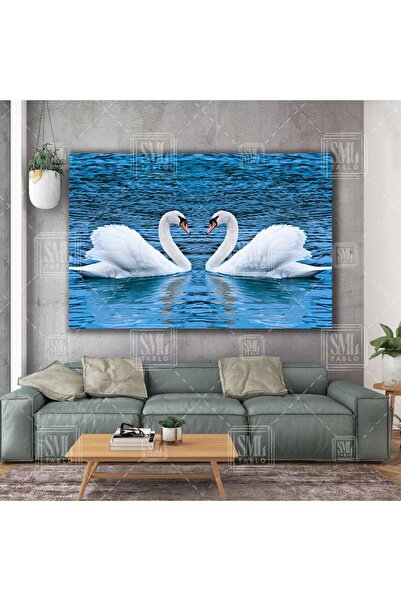SML TABLO Denizde Gezen Kuğu Çifti Ve Kalp Zarafet Doğa Manzara Hayvan Yatay ...