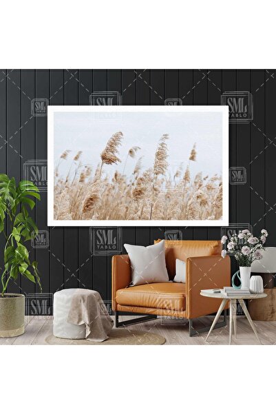 SML TABLO Kremrengi Ev Dekorasyonu Tüylü Romantik Kurumuş Bitki Yatay Kanvas ...