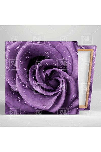 SML TABLO Raindrop Purple Rose Flower Nature Τετράγωνος πίνακας σε καμβά