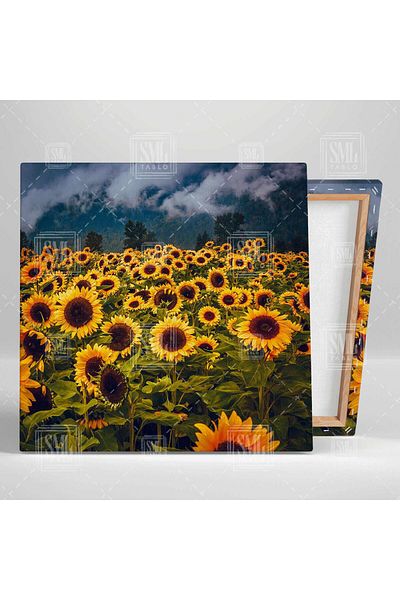 SML TABLO Sunflower Field Nature Landscape Decor Σύννεφα Ουρανός Τετράγωνος Πίνακας ζωγραφικής σε καμβά