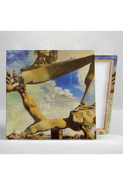SML TABLO Ζωγράφος Salvador Dali Μαλακή δομή τετράγωνη εκτύπωση σε καμβά