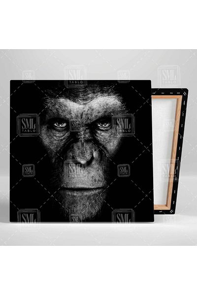 SML TABLO Διακοσμητικό τετράγωνο καμβά Gorilla Head Wild Animal