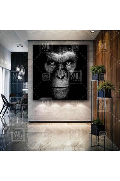 SML TABLO Διακοσμητικό τετράγωνο καμβά Gorilla Head Wild Animal