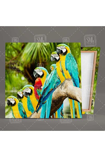SML TABLO Τροπικό Δάσος Macaw Parrot Τετράγωνος Πίνακας Καμβά