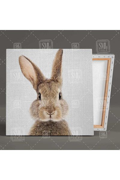 SML TABLO Baby Rabbit Cute Παιδικό Δωμάτιο Καμβάς Τετράγωνος Πίνακας Καμβά