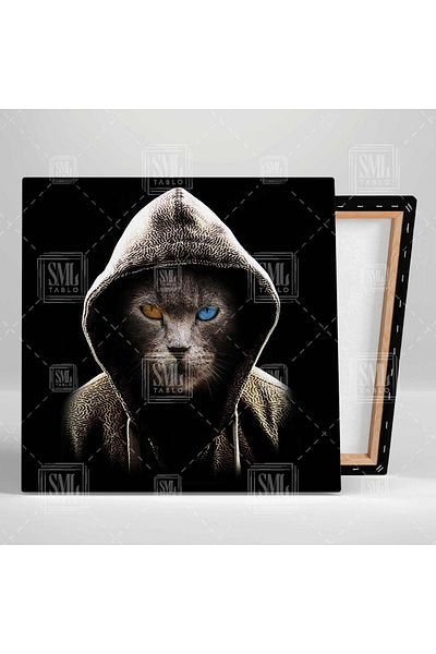 SML TABLO Hacker Mysterious Cat Van Cat Square Canvas Painting cu ochi colorați