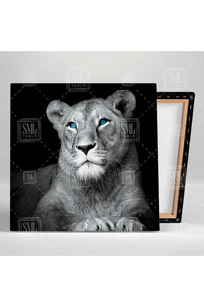 SML TABLO Regele pădurilor Ochi albaștri Leu nobil Decor animal Pictură pătrată pe pânză