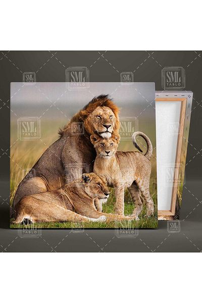 SML TABLO Familia Leului Regele Pădurilor Pictură pe pânză pătrată cu animale