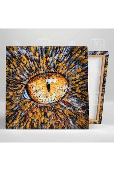 SML TABLO Ζωγραφική σε καμβά Cat's Eye And Forest Square