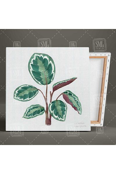 SML TABLO Plante ornamentale cu frunze mari Combinație triplă Set de 3 tablouri pe pânză