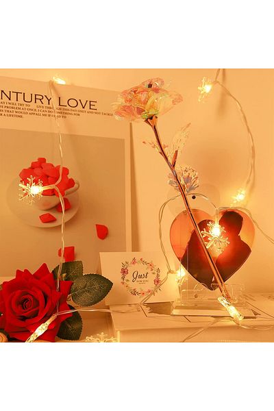 NT NIETING Suport trandafir cu inimă NT NIETING, roz/auriu, plastic, 24 cm