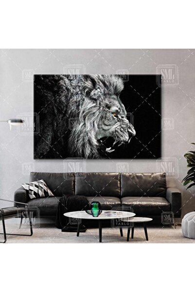 SML TABLO Μαύρο και άσπρο οριζόντιο έργο ζωγραφικής σε καμβά με έγχρωμα μάτια...