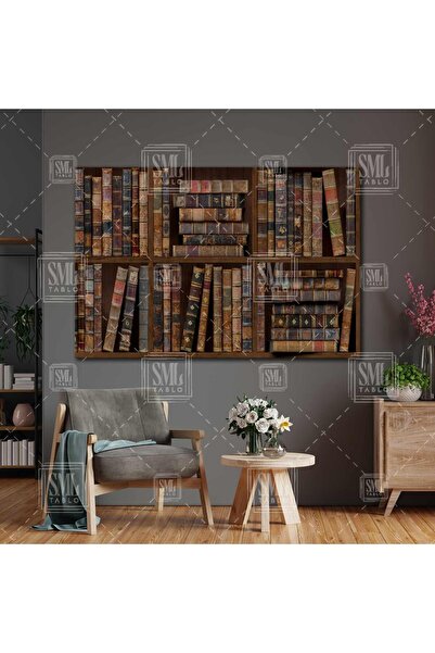 SML TABLO Ahşap Kitaplık Kütüphane Bilim Sanat Yatay Kanvas Tablo