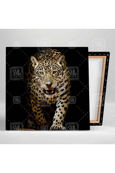 SML TABLO Άγριο λεοπάρ Growling Leopard Αφρικανικό λιοντάρι τετράγωνο καμβά