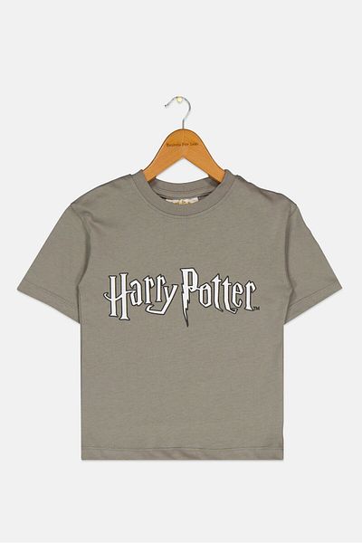 Harry Potter Toddlers Boy Short Sleeves Brand Logo T-shirt, Grey