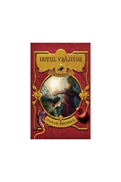 Editura Rao Books Hotul vrajitor pierdut, Sarah Prineas