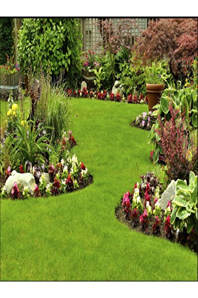 Greenbiz Yonca Karışımlı Az Su Ile Yaşayabilen Çim 1 Kg