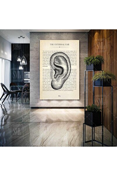 SML TABLO Kulak Burun Boğaz Kbb Dış Kulak Dikey Kanvas Tablo