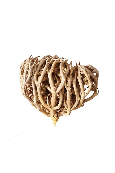 Luqmani herbs Maryam Flower 100 gram Pack Pregnancy, Fertility, Mary's flower The Resurrection Plant