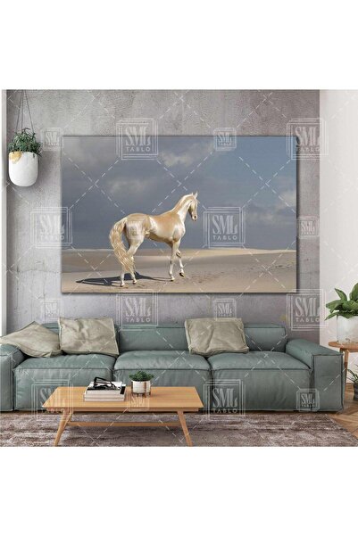 SML TABLO Ahal Teke At Türkmen Atı Asalet Yatay Kanvas Tablo