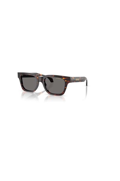 Versace 0Ve4486 550981 52 Men's Sunglasses