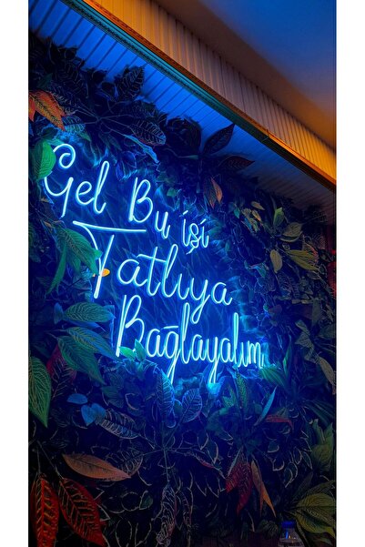 Disa Neon LED Dekoratif Aydınlatma -Gel Bu İşi Tatlıya Bağlayalım, 55x50cm-