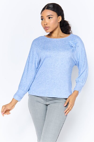 Adrienne Vittadini Women Round Neck Long Sleeves Heather Top, Blue