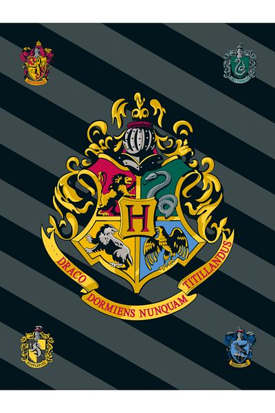 Harry Potter Patura Polar, 100x150 cm, multicolor, Harry Potter