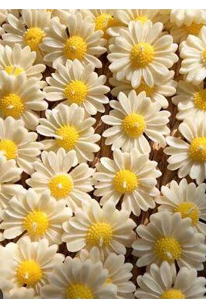 Fest Papatya Suda Yüzen Mum,Vanilya Kokulu.Söz,nişan,düğün, kutlamalar için h...