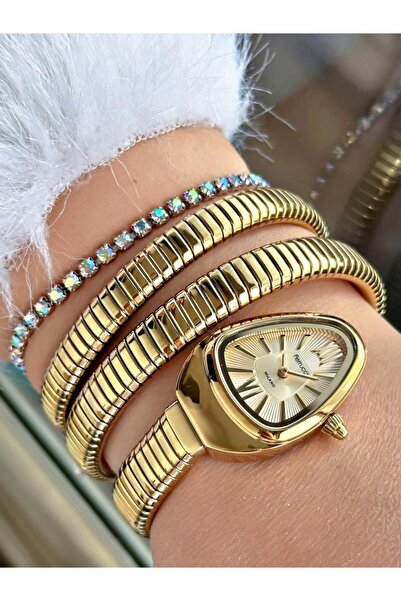 Ferrucci Milano Fc 0225 03542m.02 64004 Women Wrist Watch