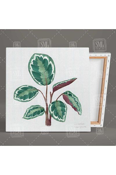 SML TABLO Pictură pe pânză pătrată cu plante cu frunze mari verzi