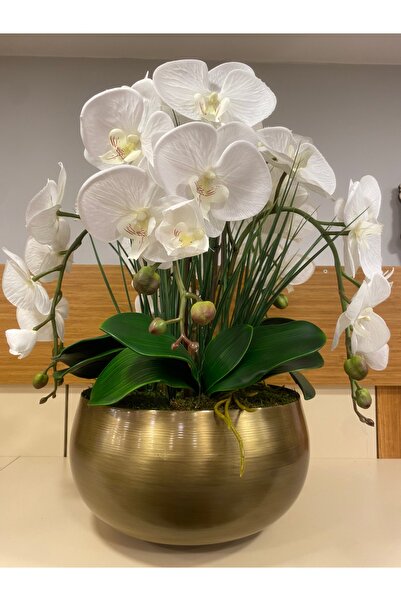 PLUS HOME تشكيلة صناعية مستوردة من الأوركيد الرطب العتيقة في وعاء كبير الحجم