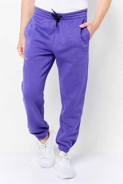 Reebok Men Sportswear Fit Outdoor Sweatpants, Purple