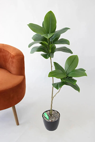 Yapay Çiçek Deposu Yapay Ağac Kauçuk Bitkisi 2 Dallı 105 cm