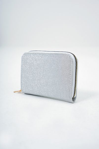 Trend Alaçatı Stili Dámská stříbrná peněženka na zip se stříbrným zipem a stříbrným stylovým mini skládacím pouzdrem ALC-X14080