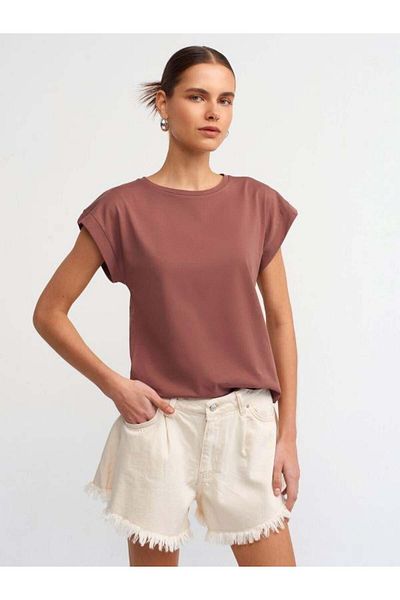 Dilvin 3504 Crew Neck T-Shirt Brown