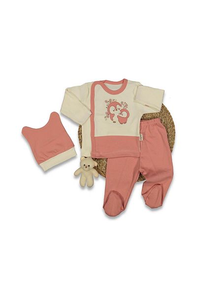 TRENDİMİZBİR Unisex Baby Penguin Embroidered Powder 3-Piece Bodysuit Set