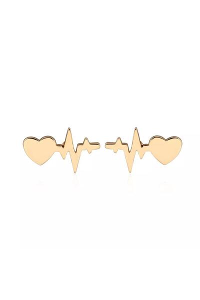 Prof Stainless Steel Heart Patterned Earrings