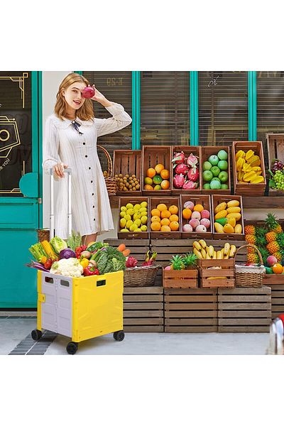 COOYA Shopping Utility Cart, Portable Rolling, with 360 Swivel Wheels, Hidden Lid,for Travel Shopping