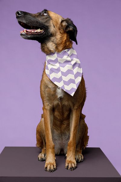 LU&MA Purple Geometric Patterned Chiffon Scarf, Bandana 50x50cm