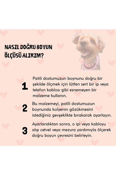 BEAD COLLAR Hi Yazılı Charmlı Renkli Boncuklu Kedi Köpek Tasma Kolye